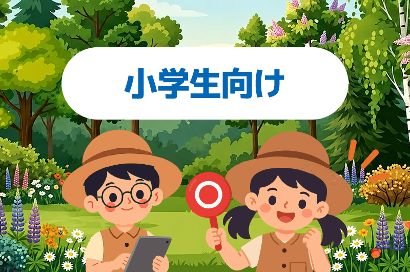 小学生向けへ進む