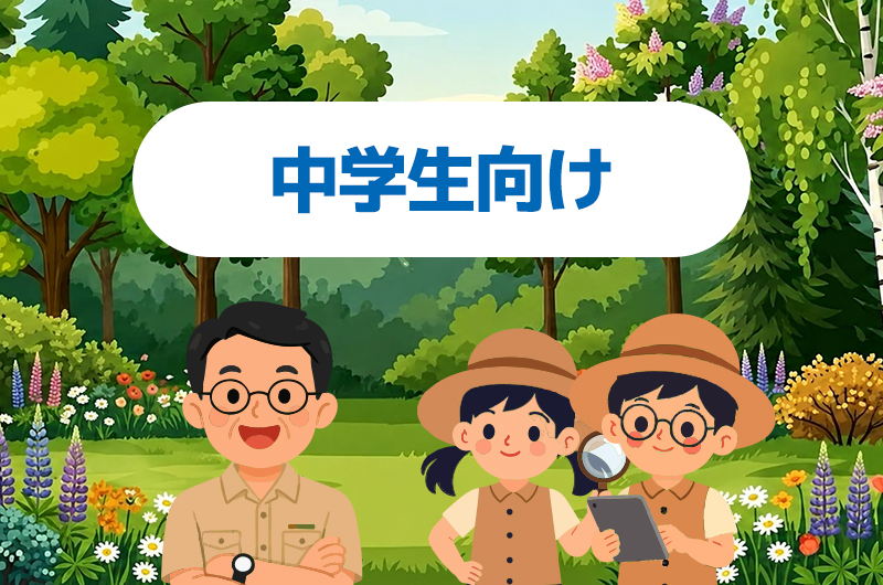 中学生向けへ進む