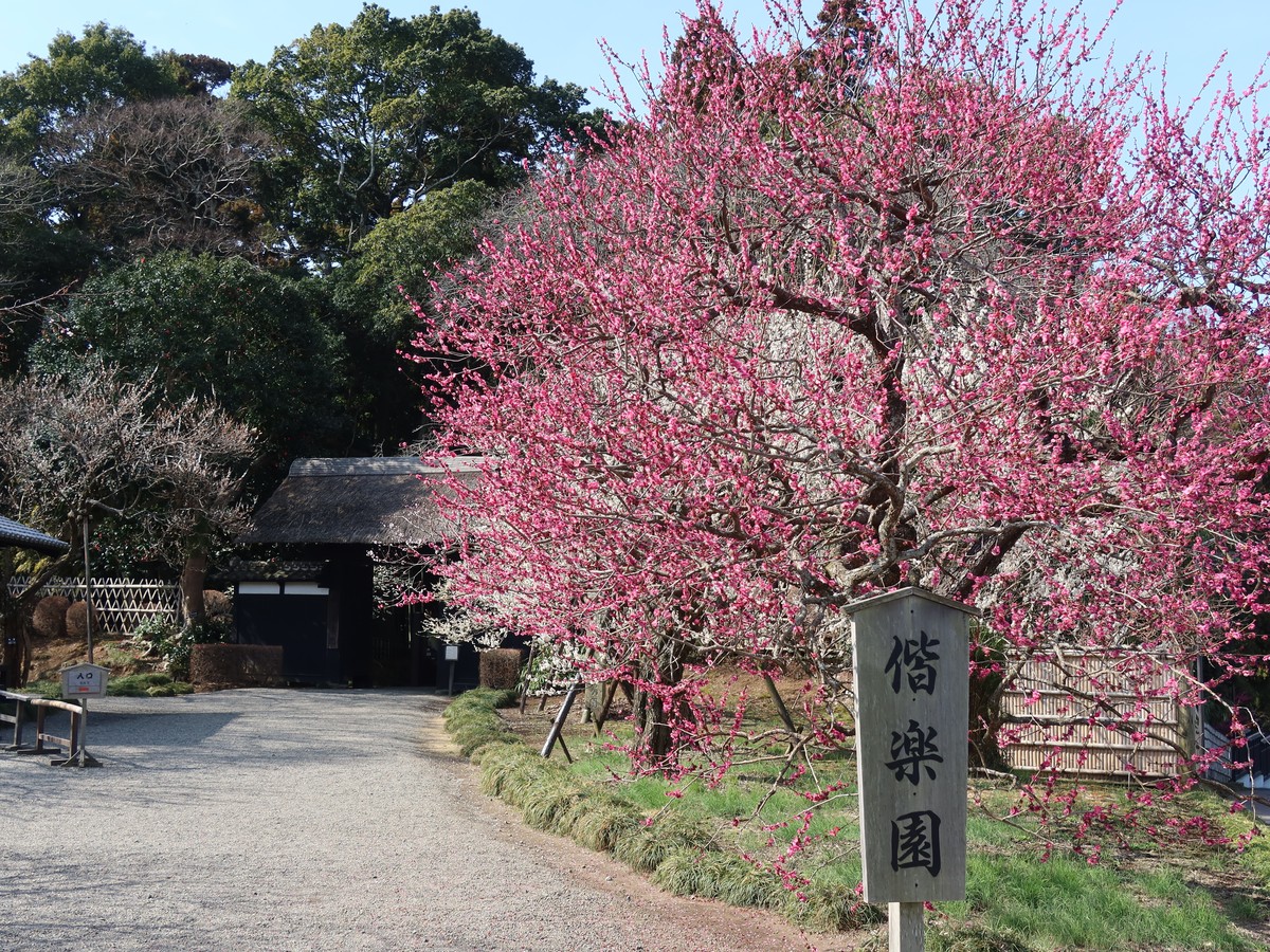 茨城県のパース図