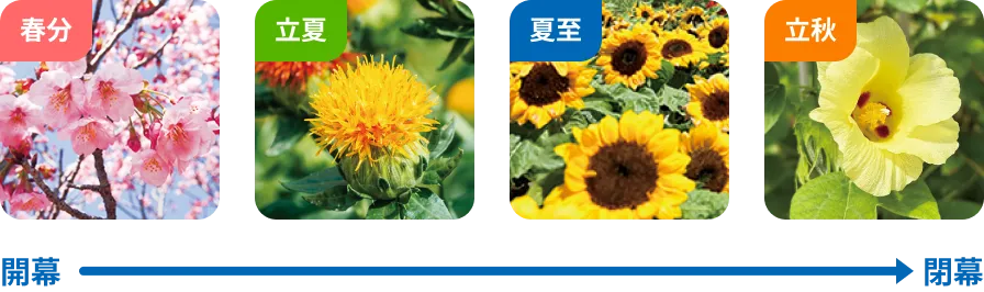 横浜グリーンエクスポ開幕から閉幕までの花の移り変わり