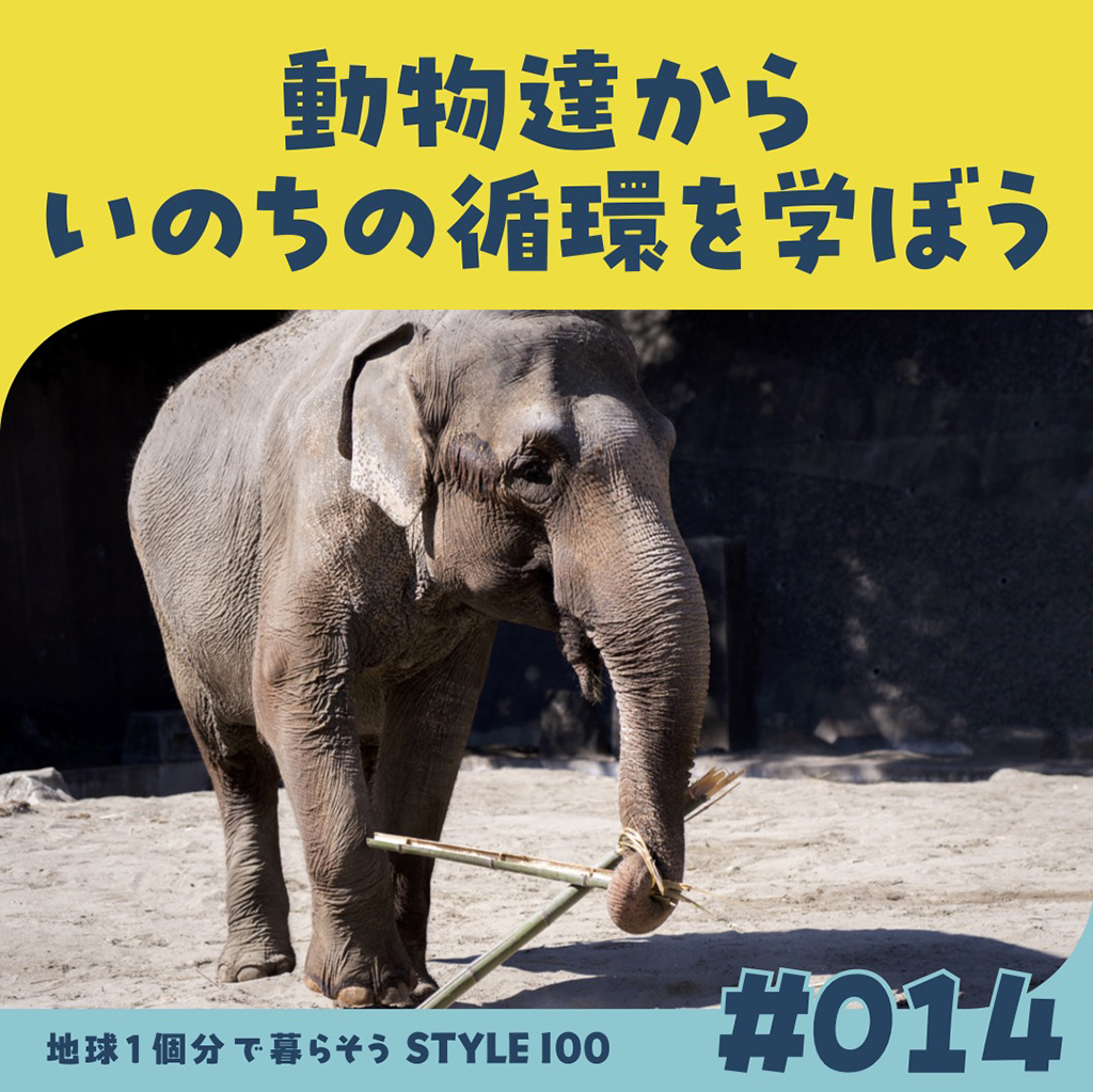 ＃014 動物達からいのちの循環を学ぼう